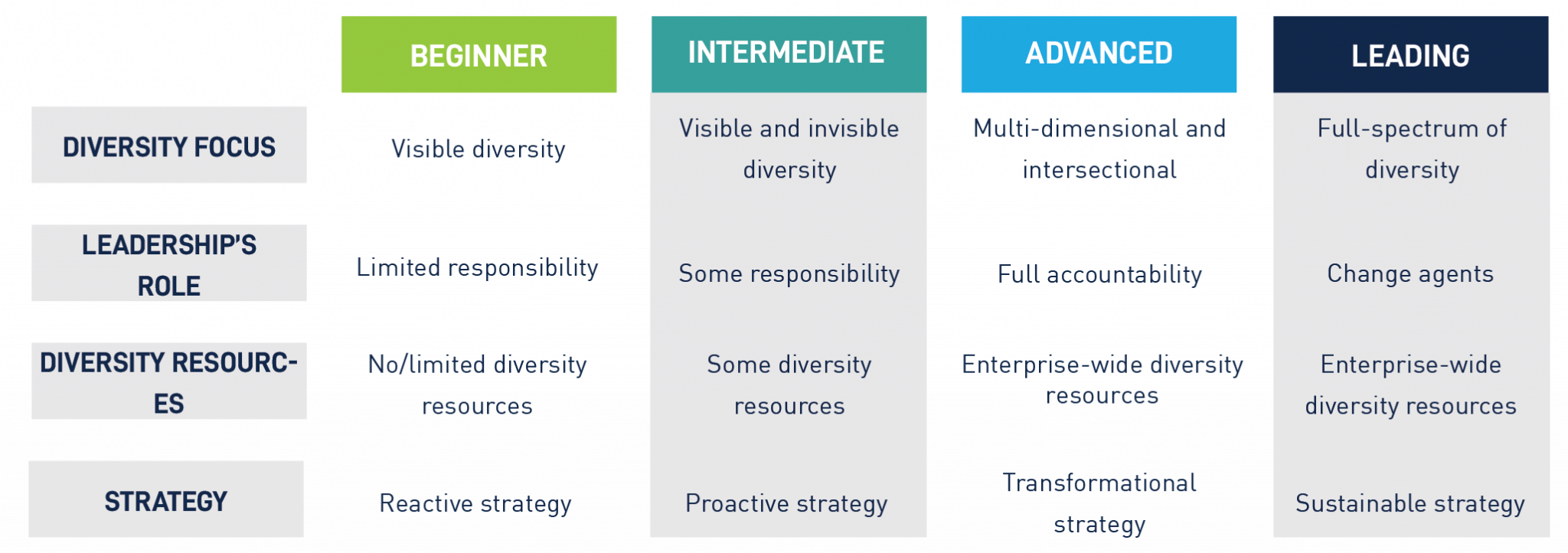 DE&I Initiatives | Diversity at Work | Assessing DE&I Programs